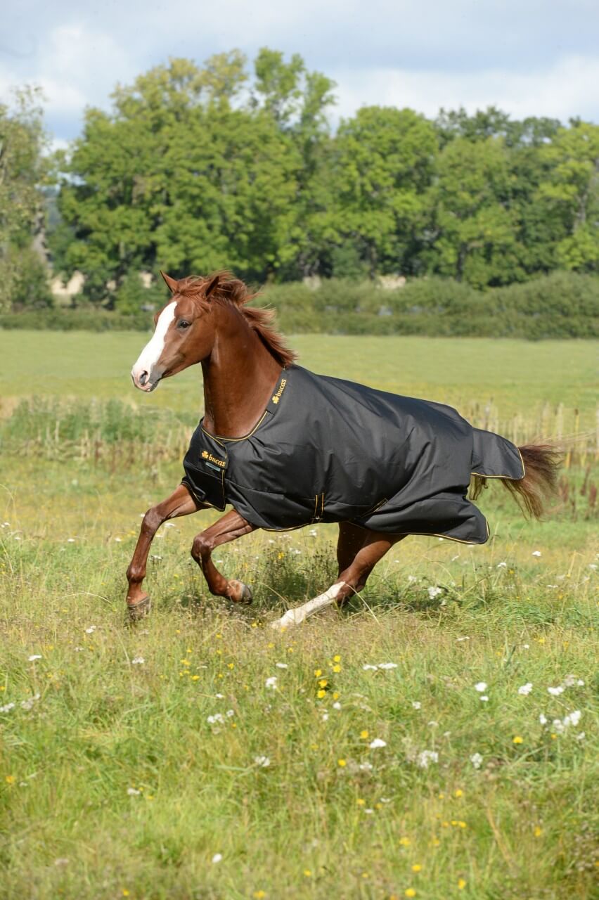 Bucas Outdoordecke 300g Irish Turnout Bucas Outdoordecke 300g Irish Turnout