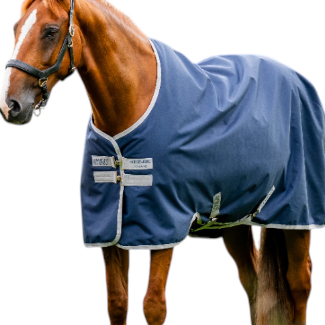 Horseware Ireland Weidedecke Amigo 0g Ripstop 900D Turnout Decke Horseware Ireland Weidedecke Amigo 0g Ripstop 900D Turnout Decke