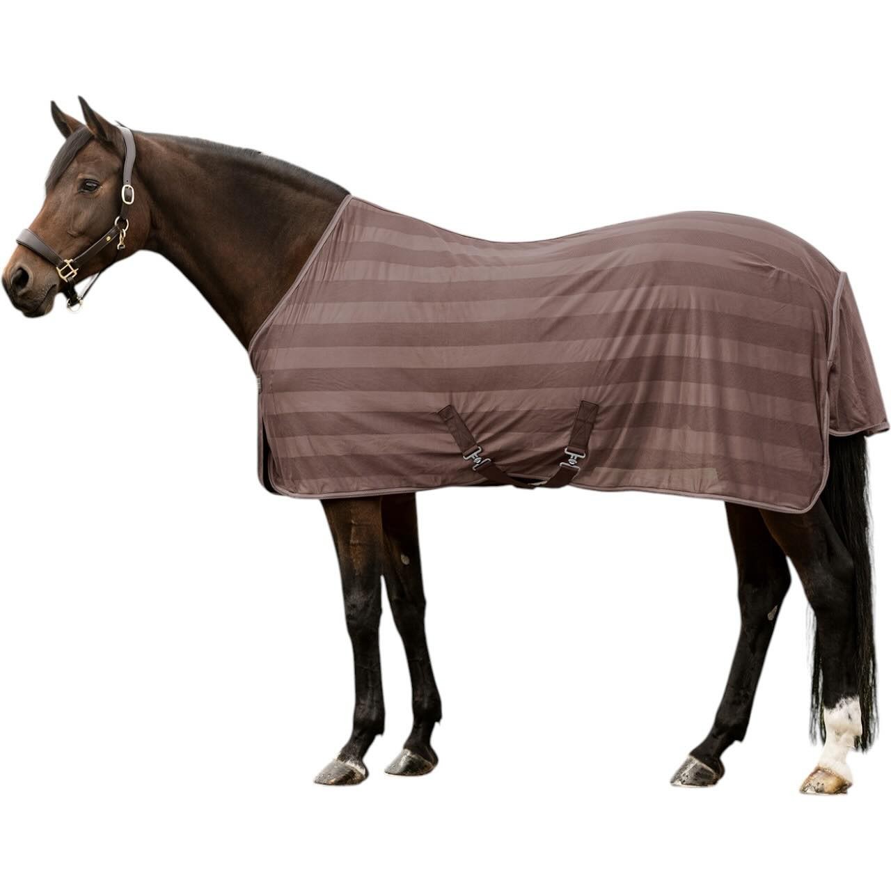 Waldhausen Fliegendecke Economic Decke Waldhausen Fliegendecke Economic Decke