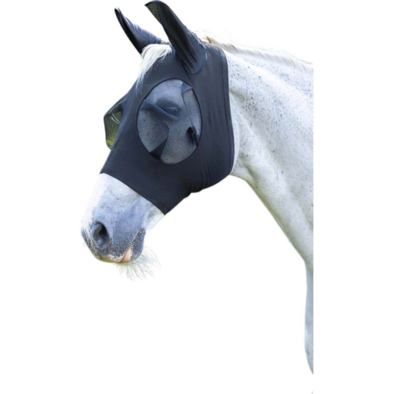 Covalliero Fliegenschutzmaske FinoStretch Fliegenmaske Covalliero Fliegenschutzmaske FinoStretch Fliegenmaske