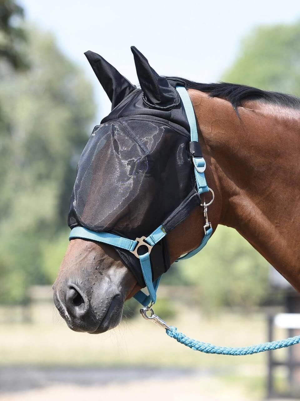 BUSSE Fliegenmaske Combi Plus Insektenschutz Halfterbefestigung BUSSE Fliegenmaske Combi Plus Insektenschutz Halfterbefestigung