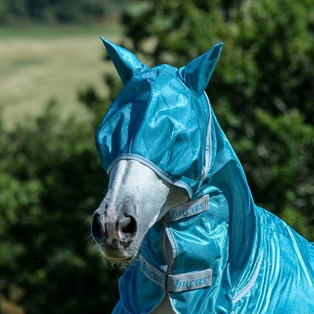 Bucas Fliegenmaske Freedom Fly Mask Fliegenhaube Insektenschutz Bucas Fliegenmaske Freedom Fly Mask Fliegenhaube Insektenschutz