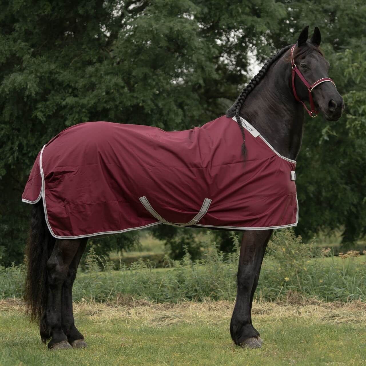 Bucas Outdoordecke 0g Atlantic Turnout Exclusive Light Regendecke Bucas Outdoordecke 0g Atlantic Turnout Exclusive Light Regendecke