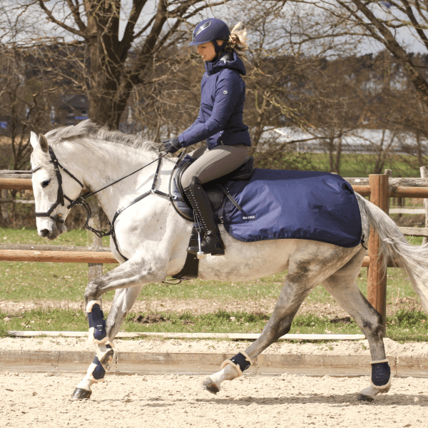 BUSSE Trainingsdecke 50g Rain Ausreitdecke BUSSE Trainingsdecke 50g Rain Ausreitdecke